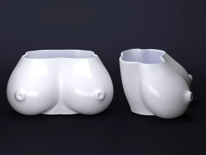 Vase Pflanzentopf Körper