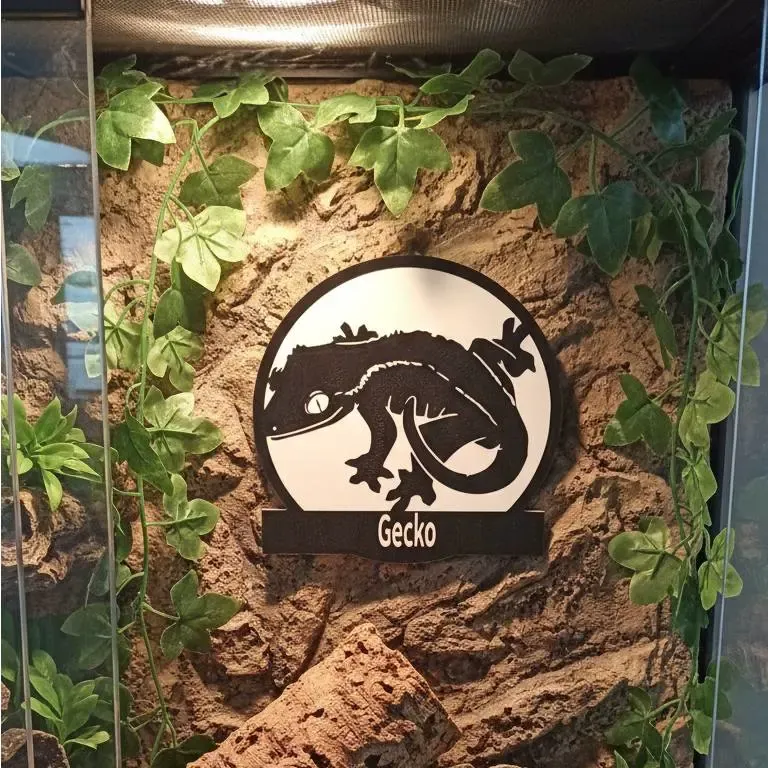 GECKO LEO TAG ciliatus ANIMAL REPTILE
