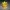 Fortnite battle pass
