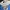 electric kettle lid mark MIGEL