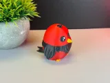 Cute Bird-6