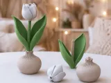 Tulip Bulb Decor | Spring Flower Display-7