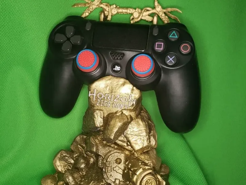 HORIZON ZERO DOWN CONTROLLER STANDAARD