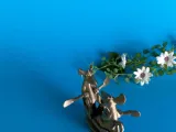 チーズに乗るネズミの乗り物-5