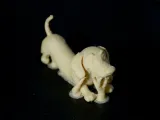 Dachshund-2