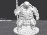 🐢 Shellwarden Monk – Turtle Warrior Guardian-8
