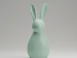 Minimalist Bunny-6