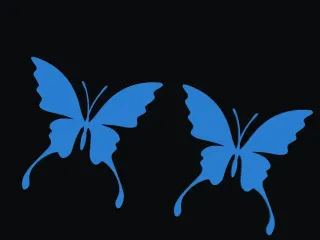 فراشة