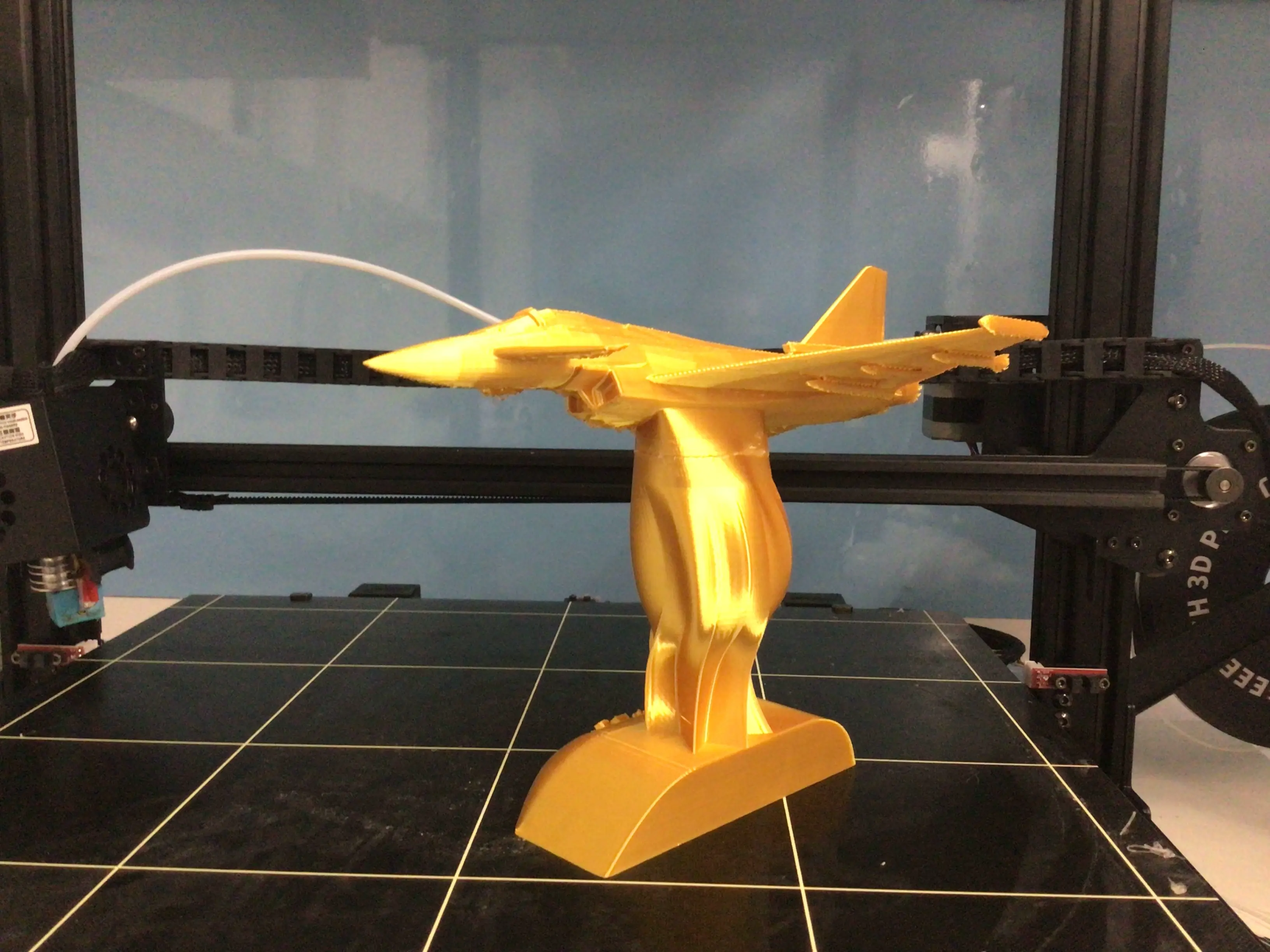 90% OFF Flight RC 2023 trophy *HUGE SALE*