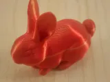 Bunny-0