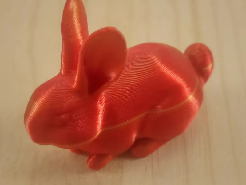 Bunny