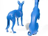 Greyhounds-7