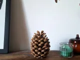 Pine Cone Coasters-6