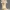 Bota com espora e flores