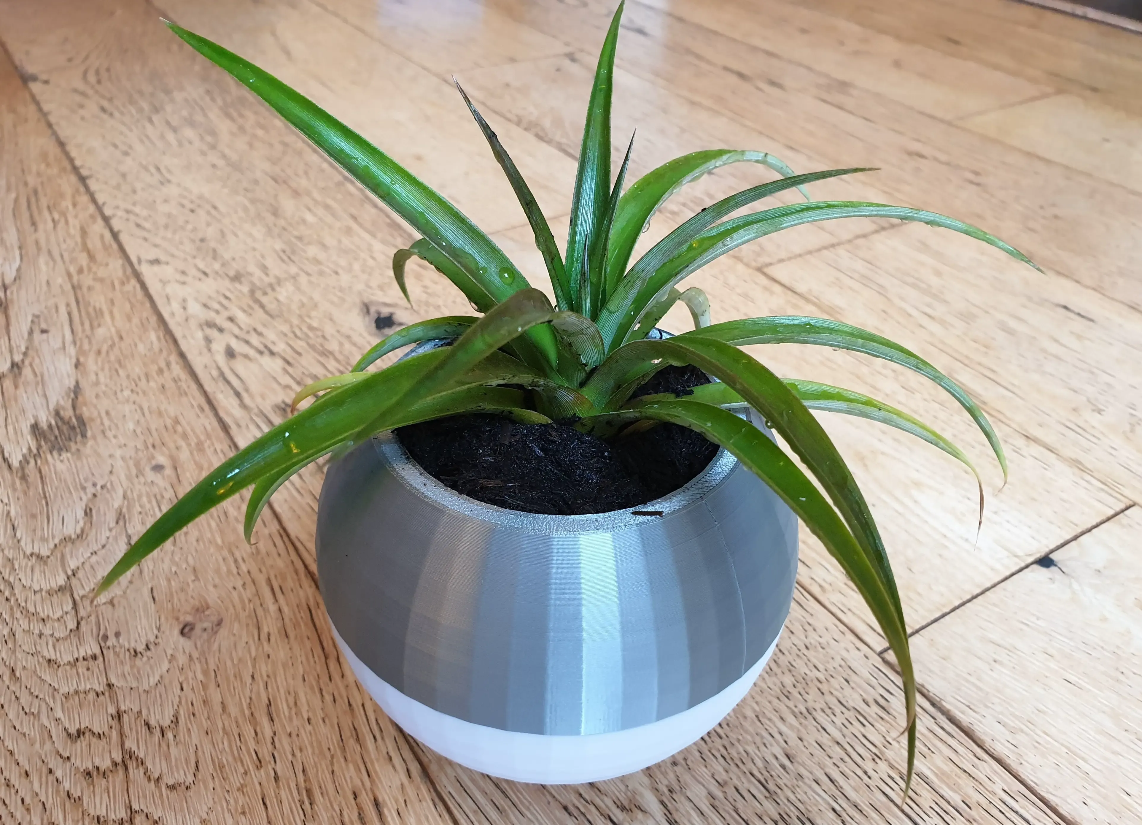 Modern Self Watering and Draining Plant Pot Planter