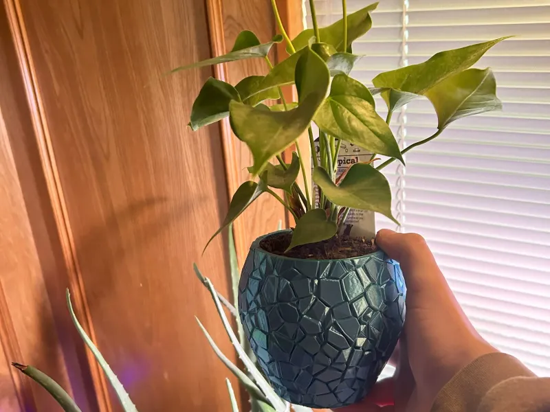 cool rock style vase