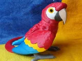 Scarlet Macaw-1