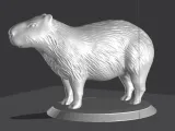 Capybara-3