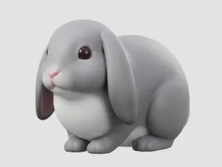 Lop Ear