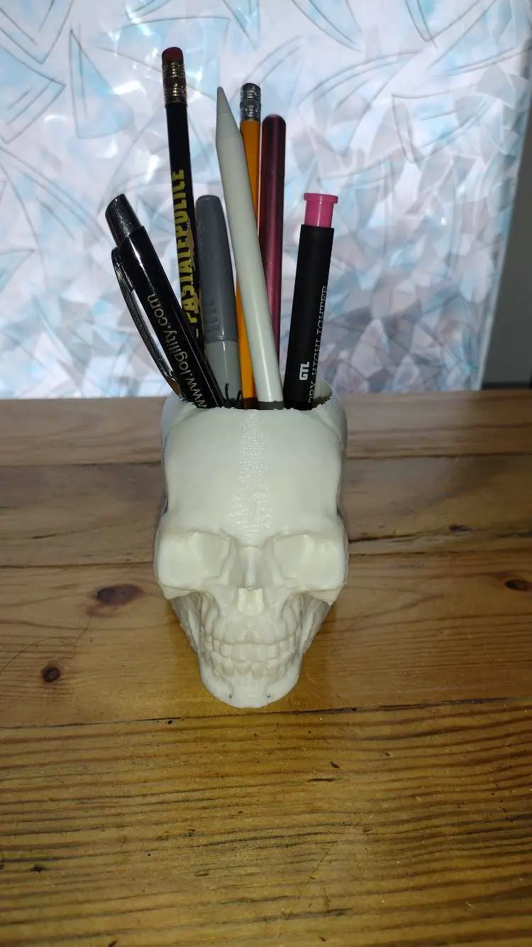 skull vase or skull pen holder 