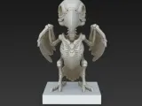 Bird skeleton-1