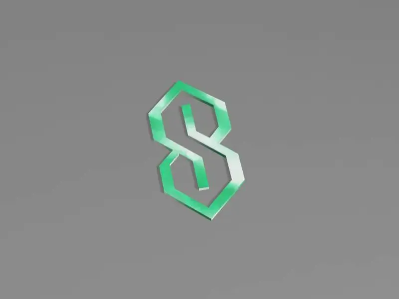 the s thing