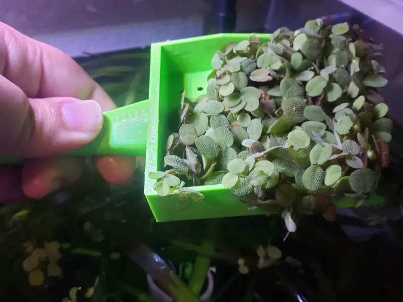 Floating plant rake