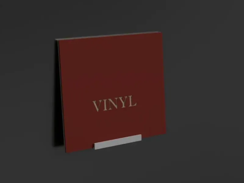 Vinyl record wall holder