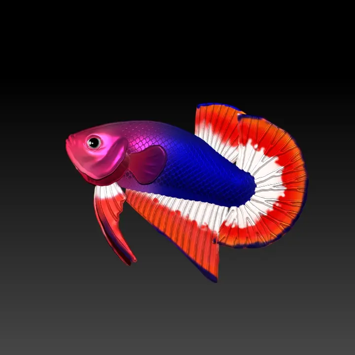 BETTA FISH 2