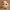 Jigglypuff Pokemon Chibi
