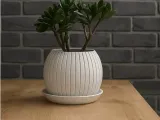 Marble Line Pot-0