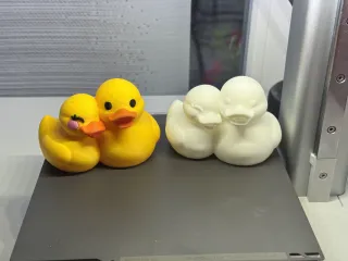 Couple Ducks 3c crea