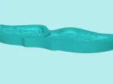 Wing Mold I - Molding Maker Template-7