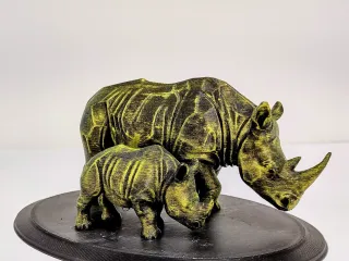 Rhinoceros and calf