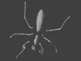 Insect Mantis Assembly Model-6