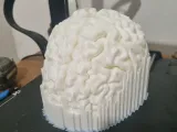 cerebro escala real-0