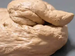 Fake dog poop prank