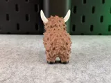 Highland Cow-5