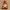 Cozy Christmas Gnome