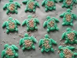 turtle cookie cutter-1