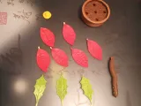 نبتة الكريسماس-3