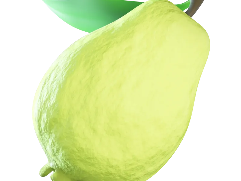 Guava fruit