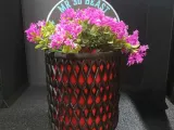 2 part planter v2-2