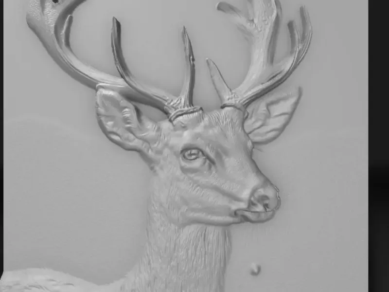 deer image