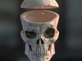 Craneo/ skull -0