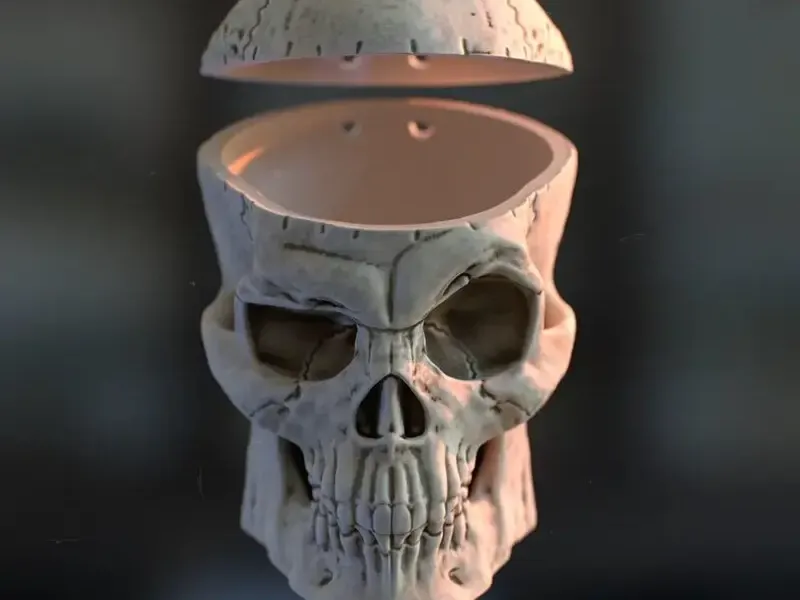 Craneo/ skull 