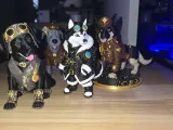 StormPaw-1