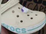 Bird+Croc+Charm-1