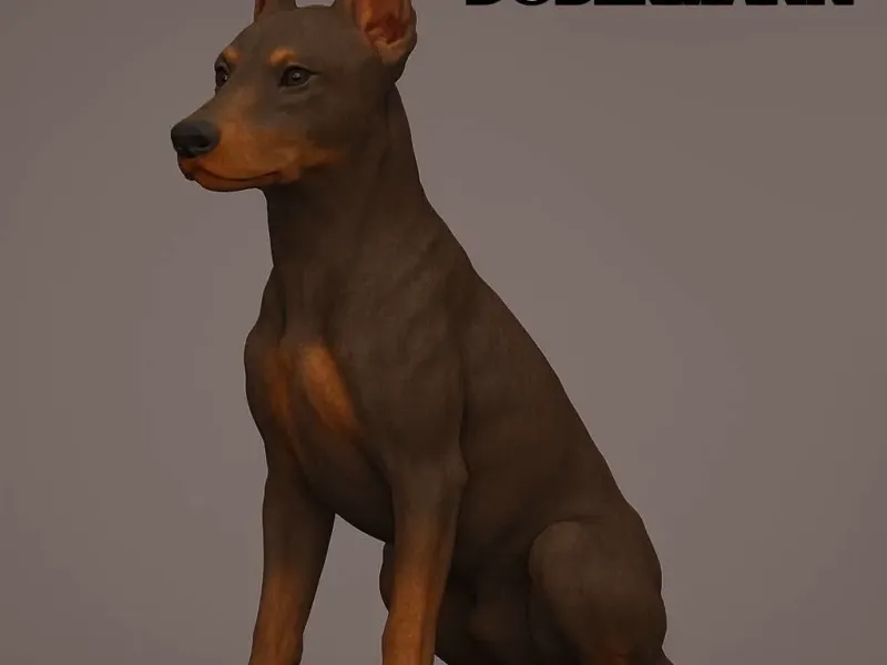 Dobermann