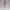 Valentina Rouge – Crimson Allure Edition